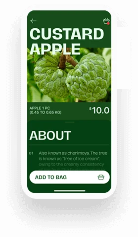 Main Right Banner Slider 2