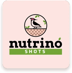 Second Main Right Banner Slider 2